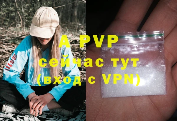 дмт Горно-Алтайск