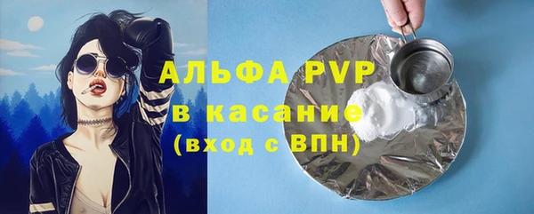 стаф Щигры