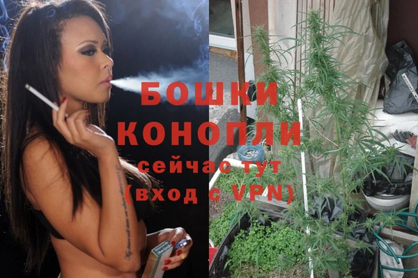 стаф Щигры