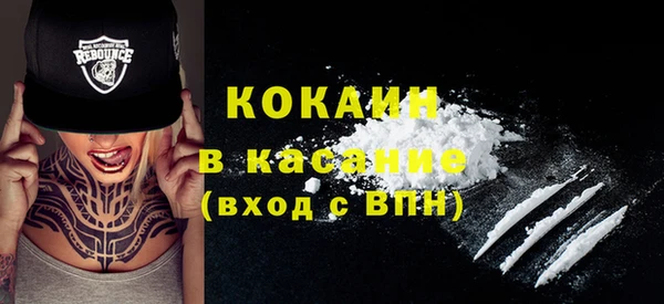 стаф Щигры