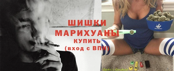 дмт Горно-Алтайск